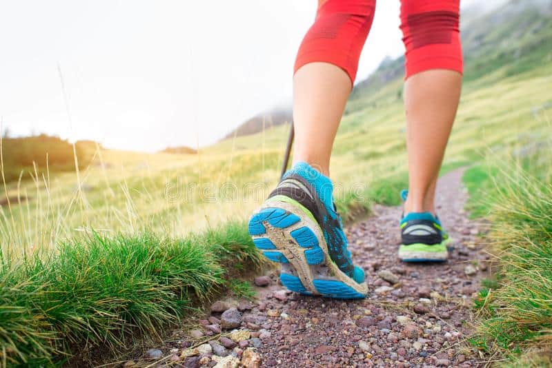 L'INTELLIGENCE KINESTHESIQUE